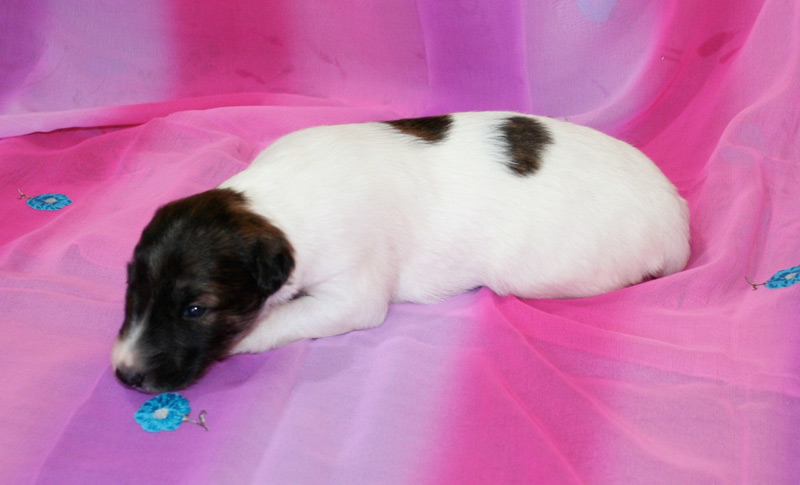 Surf Spots - Girl 1 Right Face